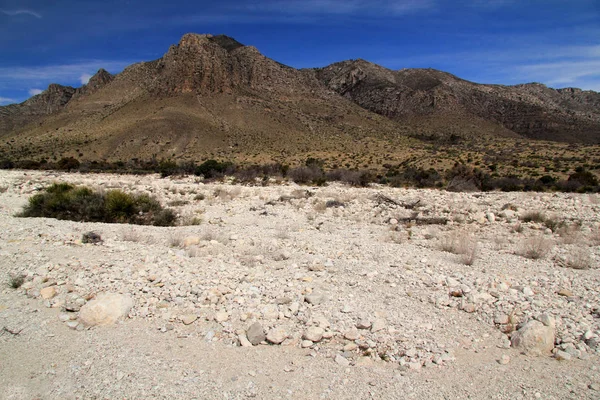 Nationalparken Guadalupe bergen — Stockfoto