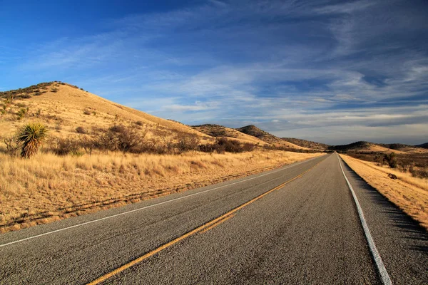 Javelina korsar Texas State Highway 118 — Stockfoto