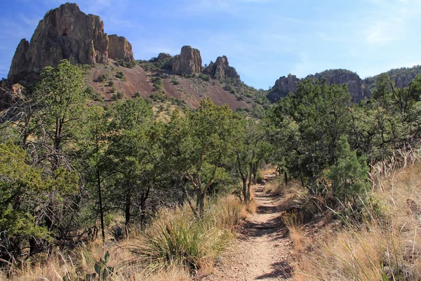 Emory Peak Trail — Stockfoto