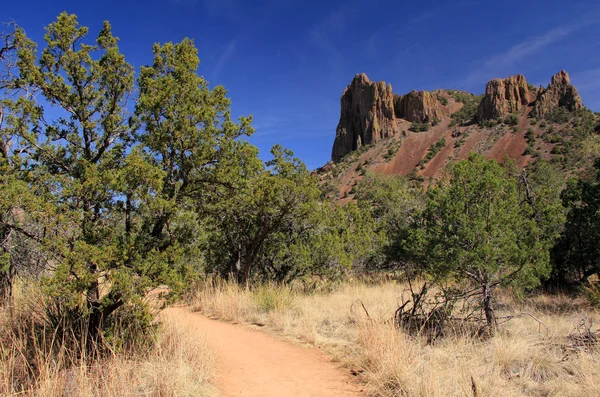 Emory csúcs Trail — Stock Fotó