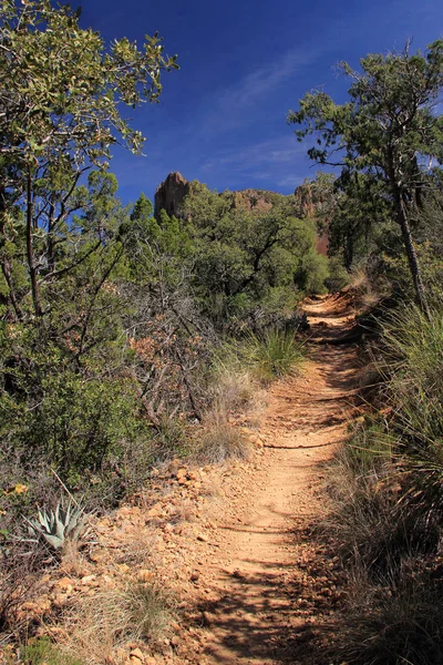 Emory Peak Trail — Stockfoto