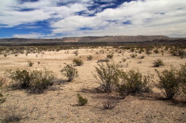 Big Bend manzara