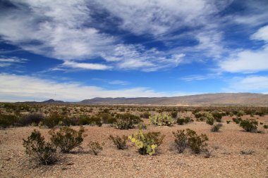 Big Bend manzara
