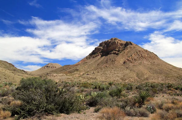Big Bend manzara