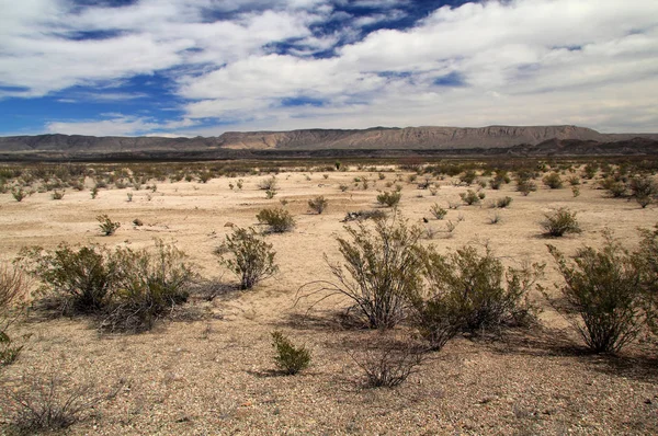 Big Bend landskap — Stockfoto