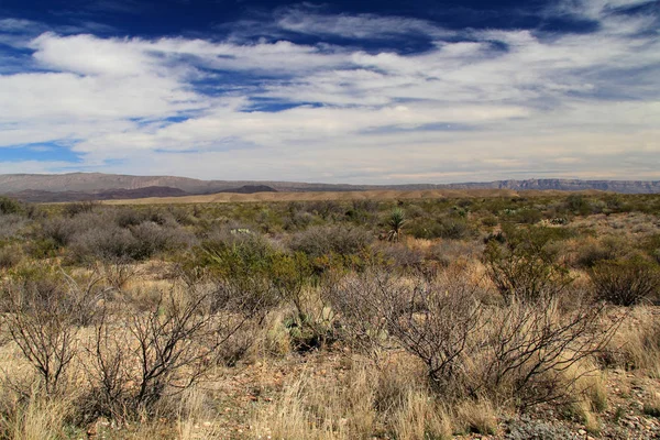 Big Bend landskap — Stockfoto