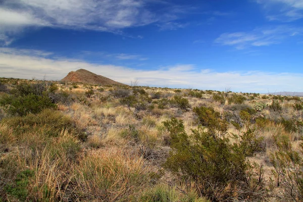 Krajobraz Big Bend — Zdjęcie stockowe