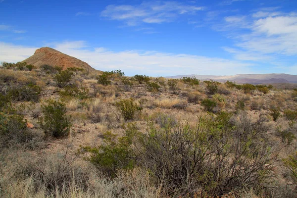 Big Bend manzara