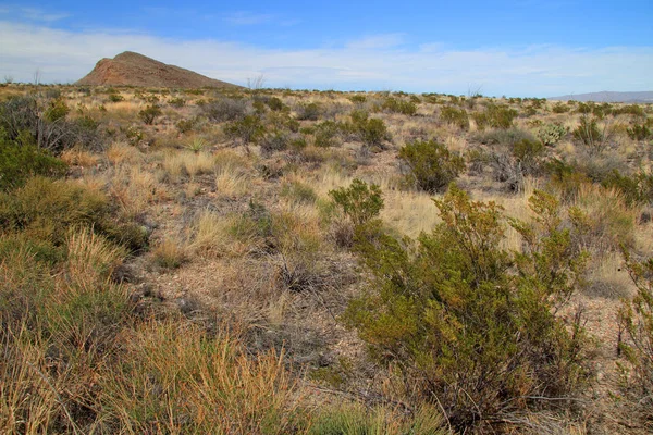 Big Bend landskap — Stockfoto