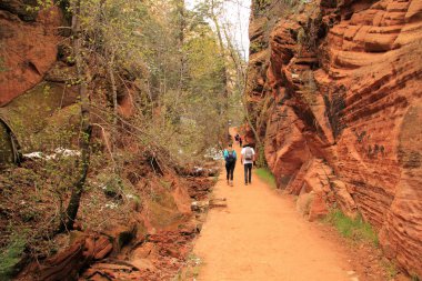 Batı RIM iz, Zion National Park, Utah