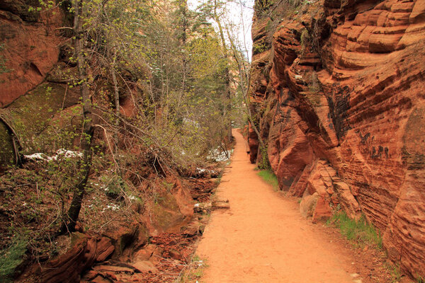 Уэст-Рим-Трейл, Национальный парк Зайон, Юта
