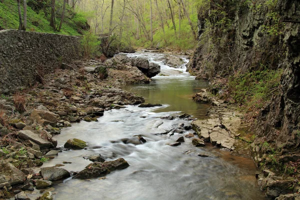 Кедр Крик Natural Bridge State Park Штат Вірджинія — стокове фото