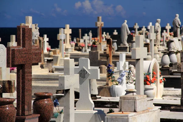 Friedhof Santa Maria Magdalena Pazzis San Juan Puerto Rico — Stockfoto