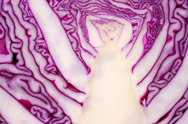 Cut red cabbage close-up.