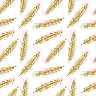 Buğday kulaklı, kusursuz bir desen. Beyazda izole edilmiş. Tam tahıl, organik, fırın paketi, ekmek ürünleri, web tasarımı.