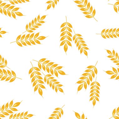 Buğday desenli vektörsüz kulaklar. Tam tahıl, organik, fırın paketi, ekmek ürünleri için. Beyazda izole edilmiş.