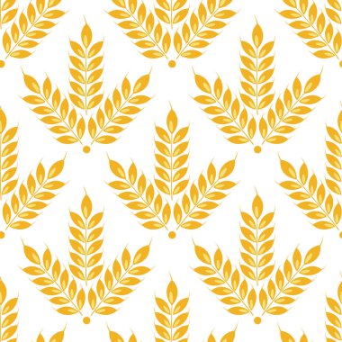 Buğday desenli vektörsüz kulaklar. Tam tahıl, organik, fırın paketi, ekmek ürünleri için. Beyazda izole edilmiş.