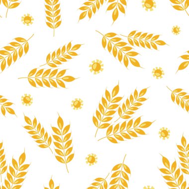 Güneşli buğday desenli vektörsüz kulaklar. Tam tahıl, organik, fırın paketi, ekmek ürünleri için. Beyazda izole edilmiş.