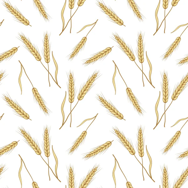 Vector Seamless Pattern Ears Wheat Isolated White Whole Grain Organic — 스톡 벡터