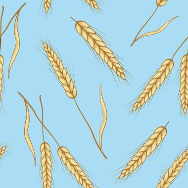 Mavi arka planda buğday kulakları olan vektörsüz desen. Tam tahıl, organik, fırın paketi, ekmek ürünleri, web tasarımı.