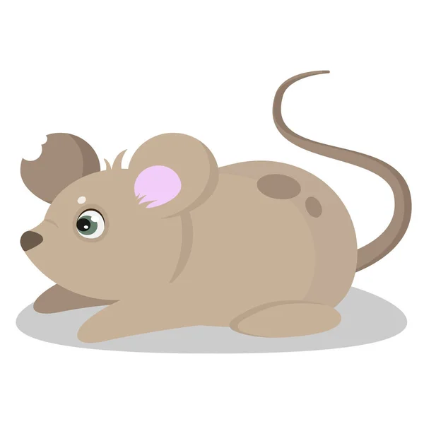 Милая Мышь Оторванным Ухом Векторная Иллюстрация — стоковый вектор