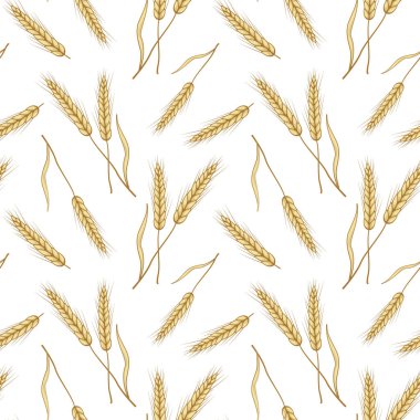 Buğday kulaklı, kusursuz bir desen. Beyazda izole edilmiş. Tam tahıl, organik, fırın paketi, ekmek ürünleri, web tasarımı.