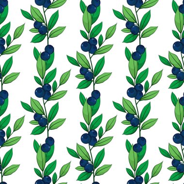 Çiçeksiz vektör deseni. Yapraklı yaban mersininin dikey dalları. Kumaşlar, duvar kağıtları, tekstil, web tasarımı için tasarım. Beyazda izole edilmiş.