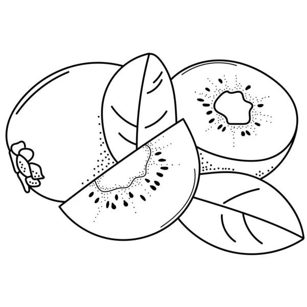 Handtekening Kiwi Doodle Vruchten Voor Stickers Posters Web Design Zwart — Stockvector