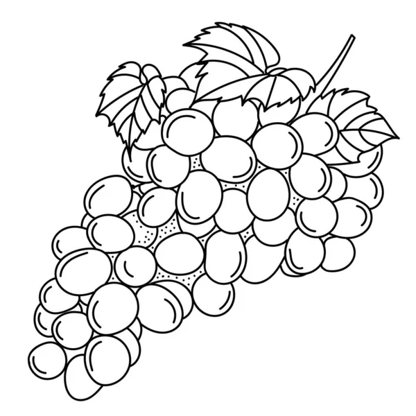 Χέρι Σχέδιο Σταφύλι Doodle Φρούτα Για Αυτοκόλλητα Αφίσες Web Design — Διανυσματικό Αρχείο