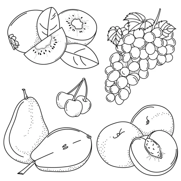 Conjunto Frutas Dibujo Mano Bayas Garabatos Frutas Bayas Para Pegatinas — Archivo Imágenes Vectoriales