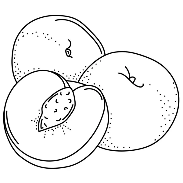 Pfirsiche Von Hand Zeichnen Früchte Kritzeln Für Aufkleber Poster Webdesign — Stockvektor