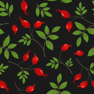 Vector seamless pattern with rose hip on black background; natural design for fabric, wallpaper, textile, packaging, web design.