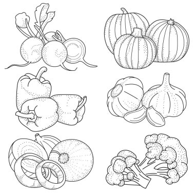  El çizimi sebzeler, çıkartmalar, posterler ve web tasarımı için sebzeler. Siyah ve beyaz vektör çizimi.