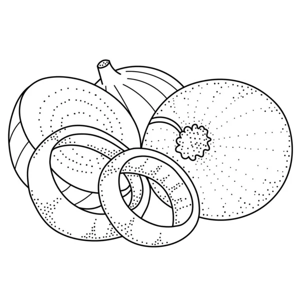 Desenho Mão Cebola Ilustração Vetorial Preto Branco Doodle Vegetais Para — Vetor de Stock