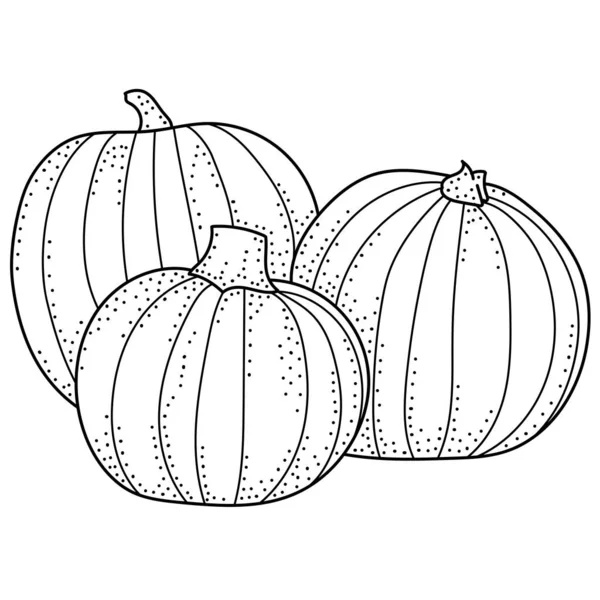 Hand Drawing Pumpkins Black White Vector Illustration Doodle Vegetables Stickers — Stock Vector