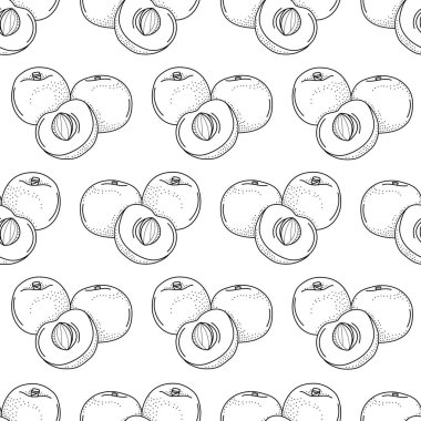  Karalama kayısısı olan vektörsüz desen; kumaş, duvar kağıdı, ambalaj, tekstil, web tasarımı için el çizimi kayısı.