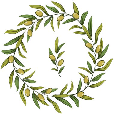 Zeytin çelengi; tebrik kartları için yeşil zeytinli çelenk, davetiyeler, posterler, pankartlar, düğün kartları, web tasarımı. Vektör illüstrasyonu.