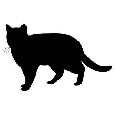 Siyah kedi silueti. Vektör illüstrasyonu.