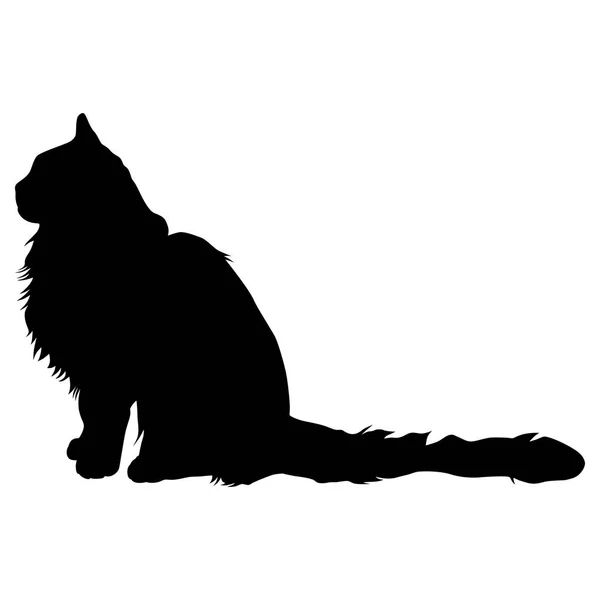 Zwart silhouet van kat. Vectorillustratie. — Stockvector