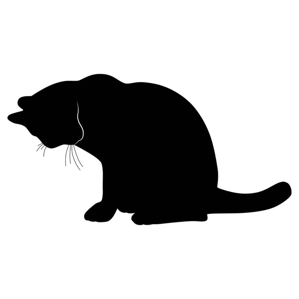 Zwart silhouet van kat. Vectorillustratie. — Stockvector