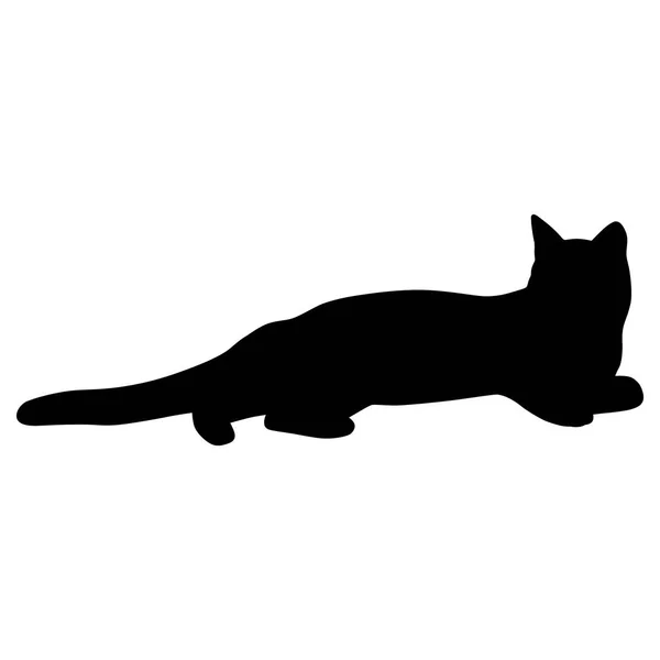 Zwart silhouet van kat. Vectorillustratie. — Stockvector