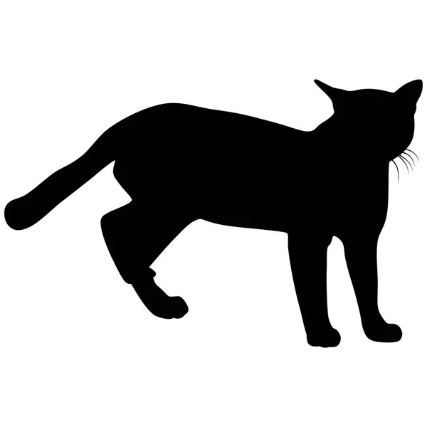 Silhouette nera di gatto. Illustrazione vettoriale. — Vettoriale Stock