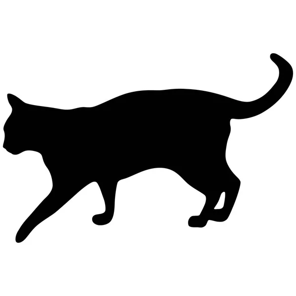 Svart siluett av katt. Vektorillustration. — Stock vektor