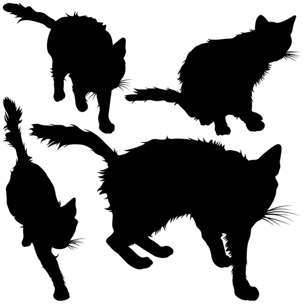 Zwart silhouet van kat. Vectorillustratie. — Stockvector