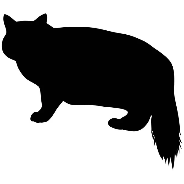 Zwart silhouet van kat. Vectorillustratie. — Stockvector