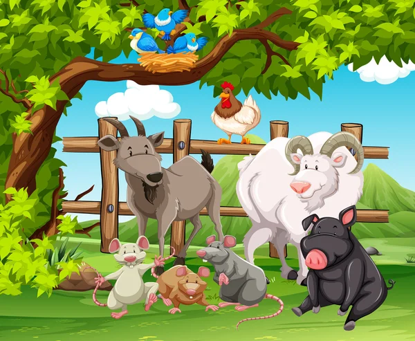 Animales de granja que viven en la granja — Vector de stock