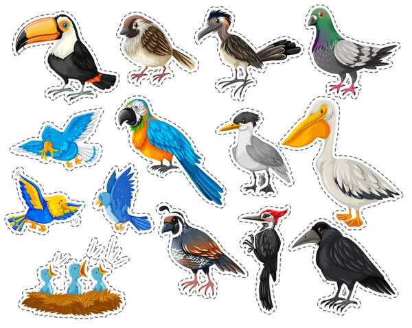 Conjunto de adesivos com muitos tipos de aves — Vetor de Stock