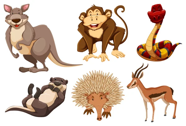 Set of wild animals — Stock Vector