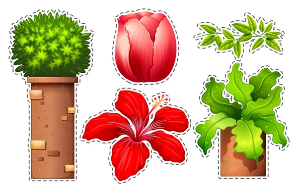 Conjunto de adesivos de flores e arbustos — Vetor de Stock