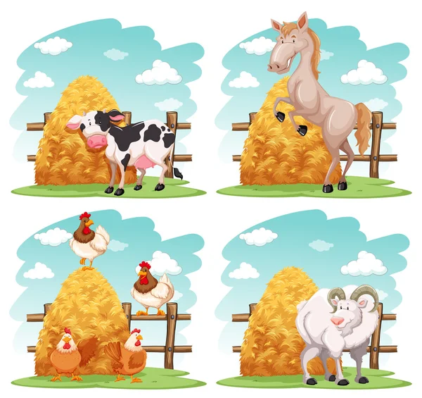 Animales de granja en la granja — Vector de stock